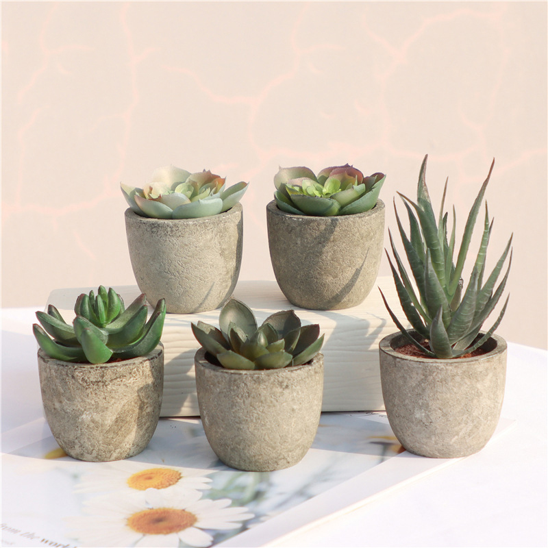 Bonsai Garden Sushi - Mini plantas artificiais de aloe, bonsai,