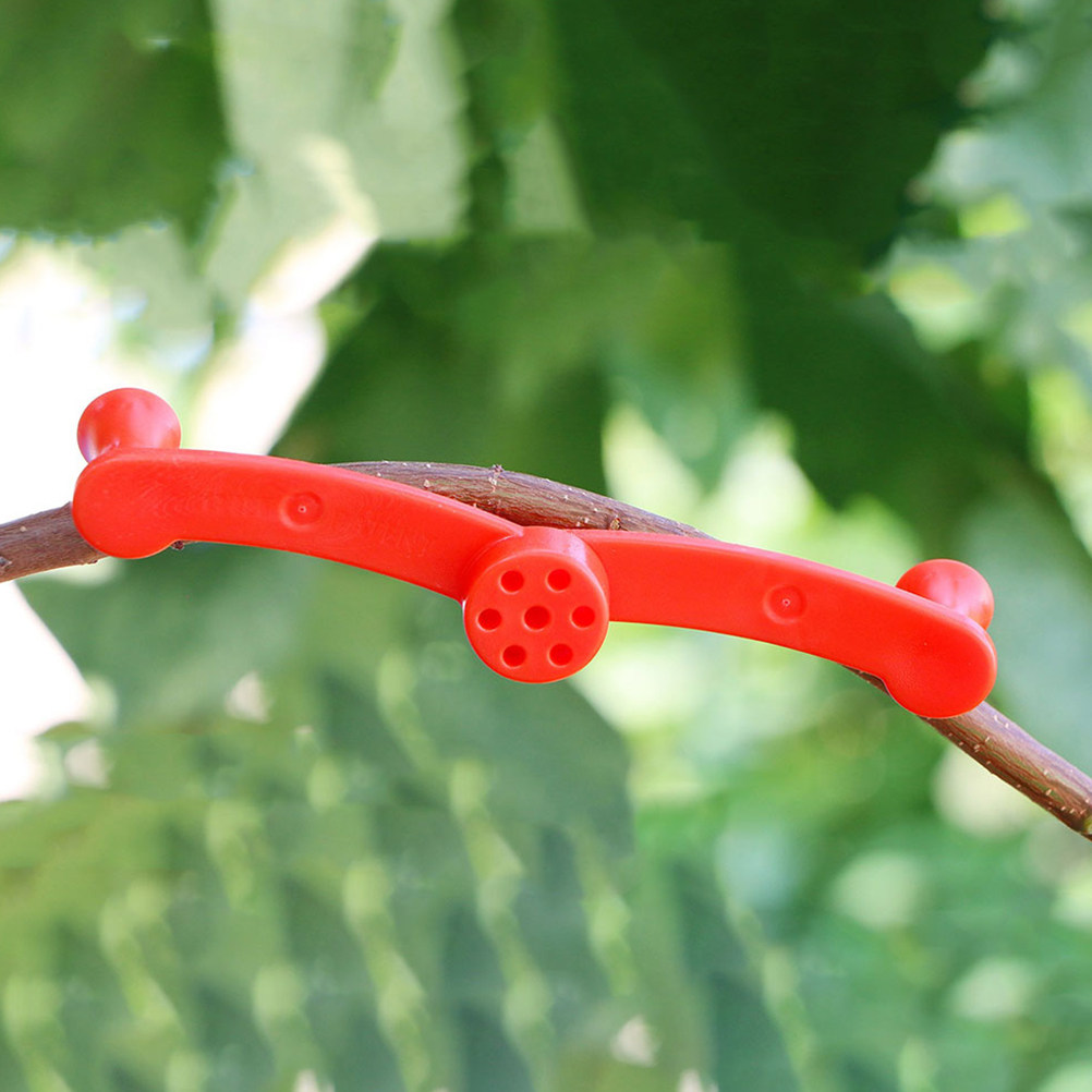 Bonsai Garden Tools - 10 Peças de Clipe Ajustável para