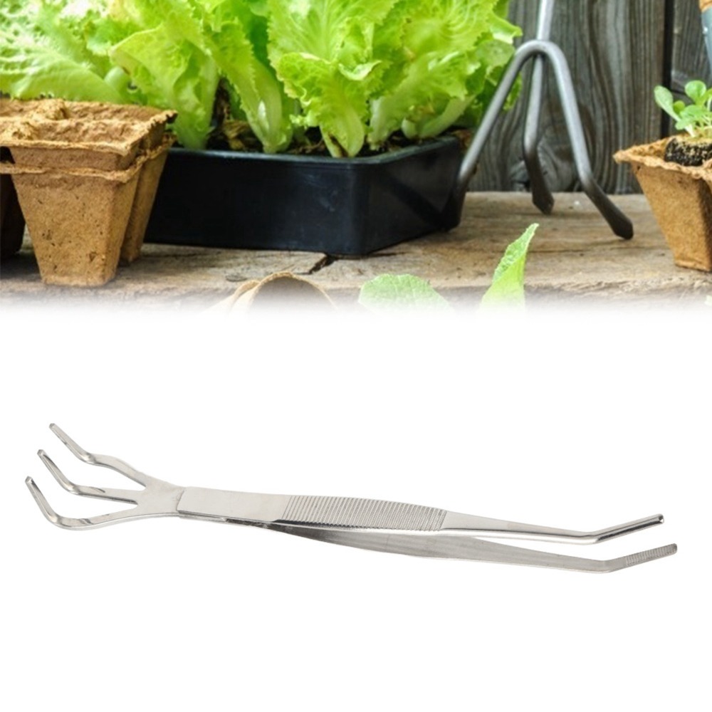Rake de Bonsai 2 em 1 Durável  - Bonsai Garden Tools avaliação e preço