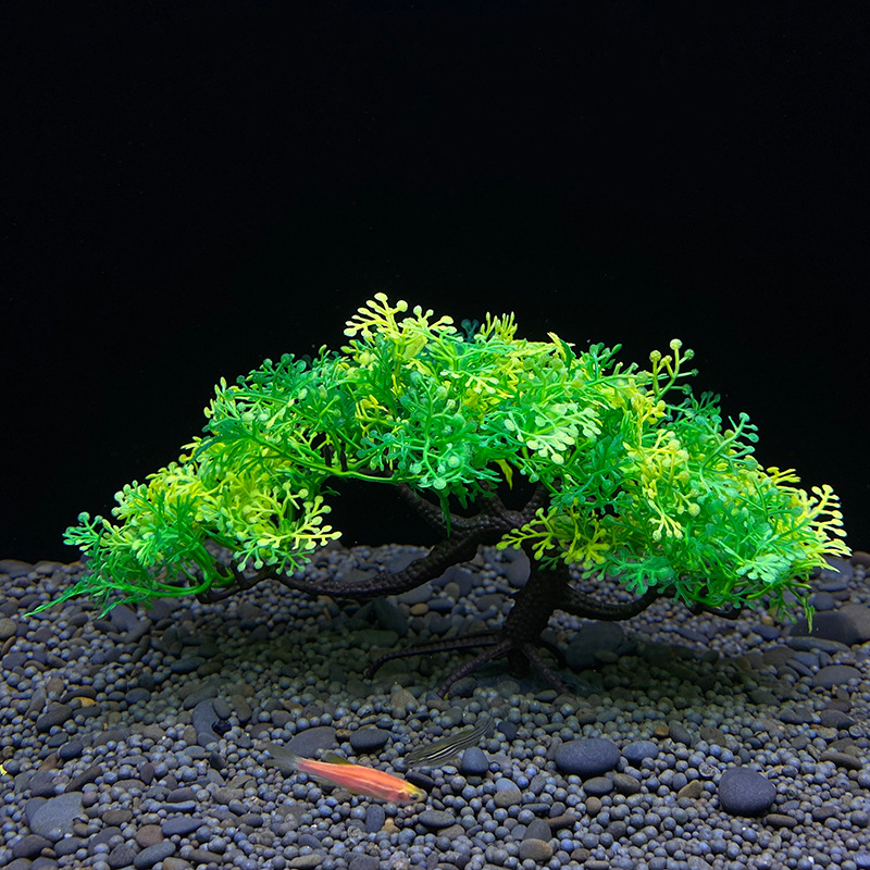 Árvore Bonsai para Aquário, Pl - Bonsai Garden Sushi avaliação e preço