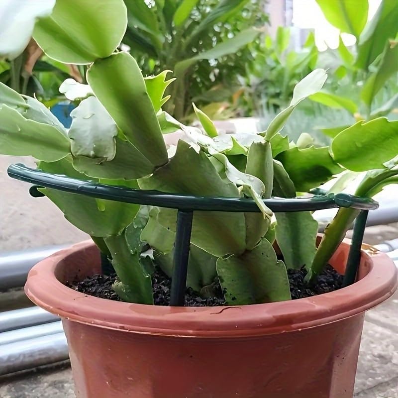 30-1 Peças Suporte de Plástico - Bonsai Garden Tools avaliação e preço