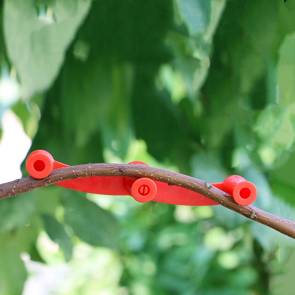 10 Peças de Clipe Ajustável pa - Bonsai Garden Tools avaliação e preço