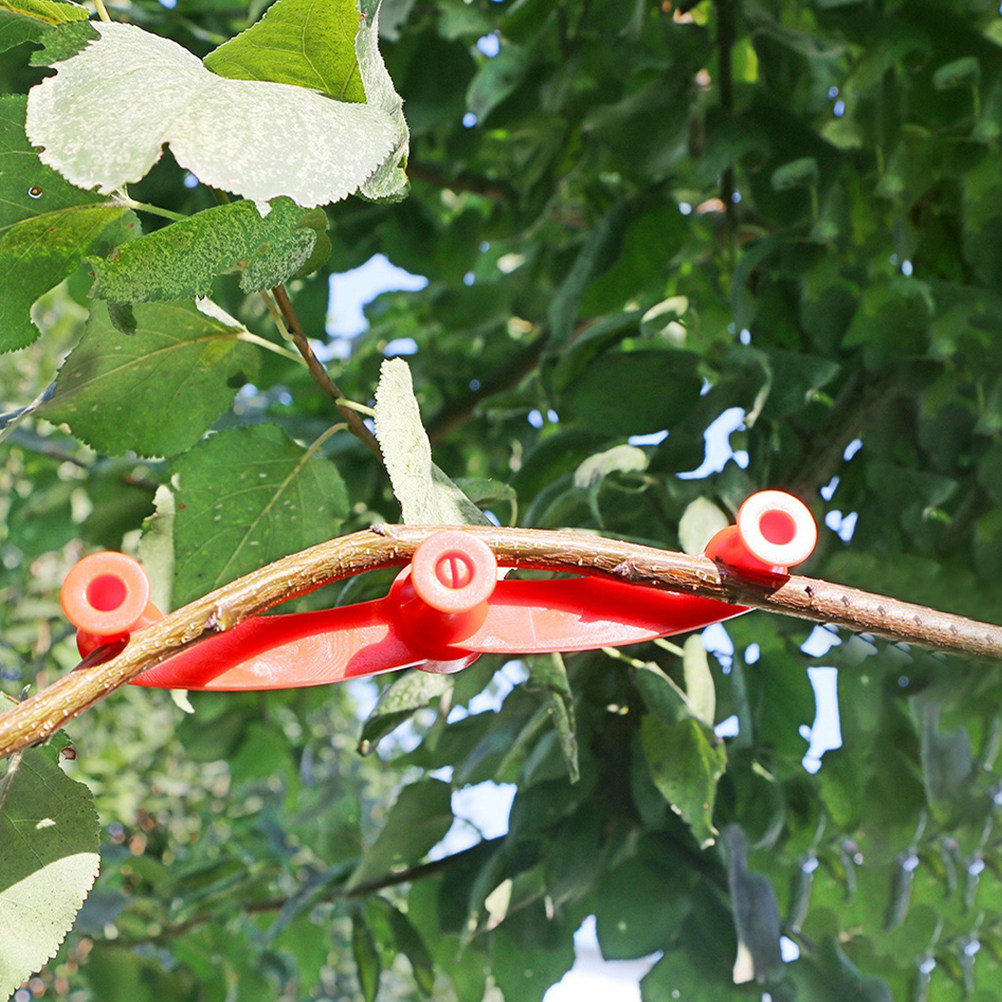 10 Peças de Clipe Ajustável pa - Bonsai Garden Tools avaliação e preço