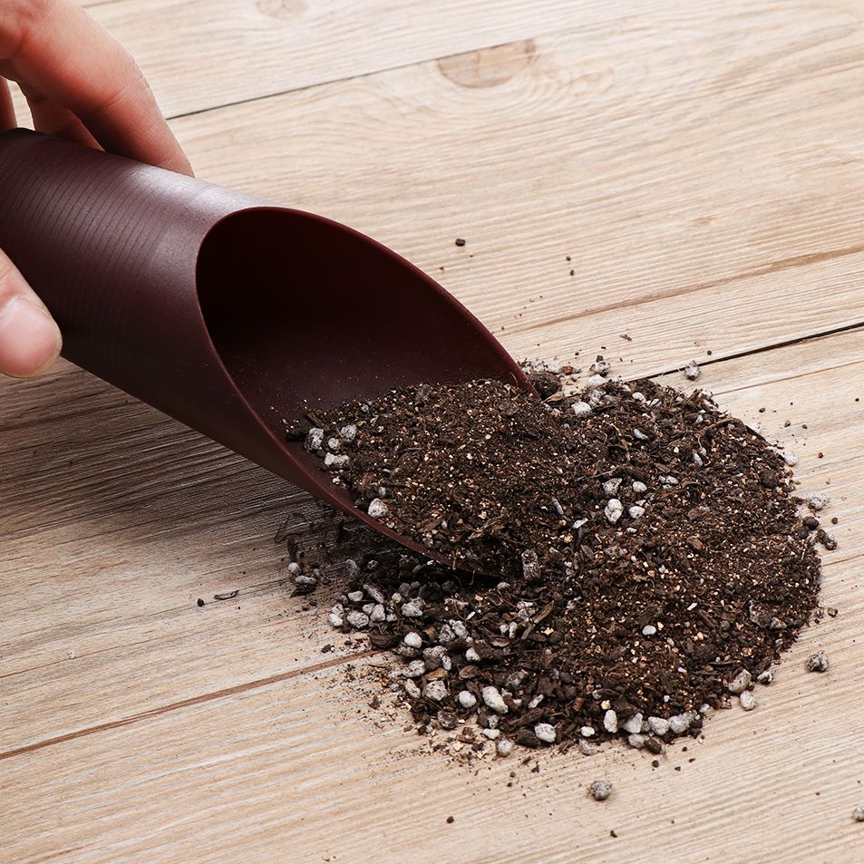 1pc plástico solo pá copo para - Bonsai Garden Tools avaliação e preço